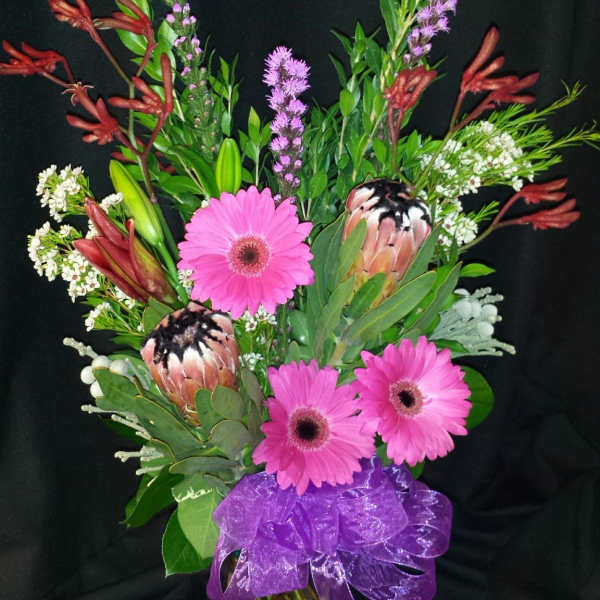 Kangaroo paw and protea daisy mix