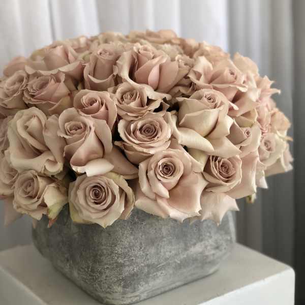 75 nude roses
