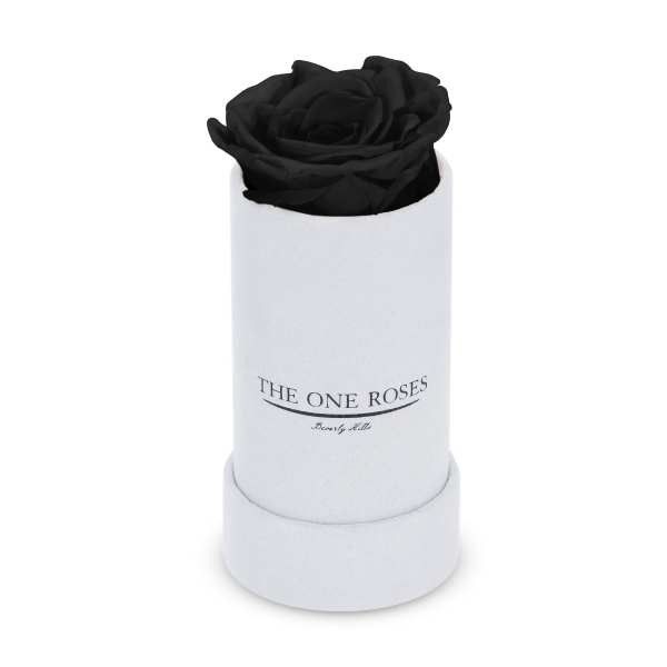 Suede Single | The One White Box Onyx Black Rose