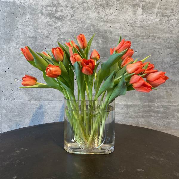20 Tulips