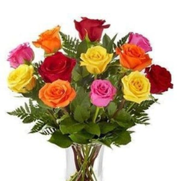 colorful roses one Dozen Roses
