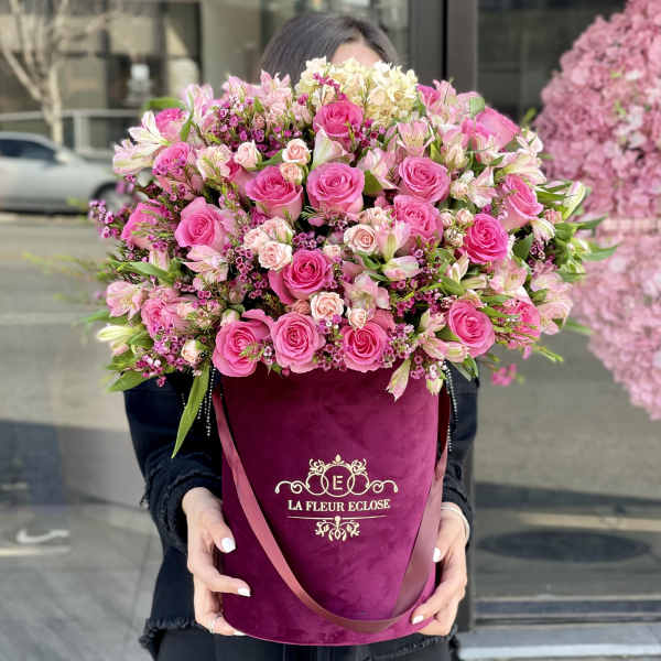 Birthday Girl In Burgundy V