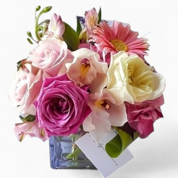 Designer's Choice Pinks