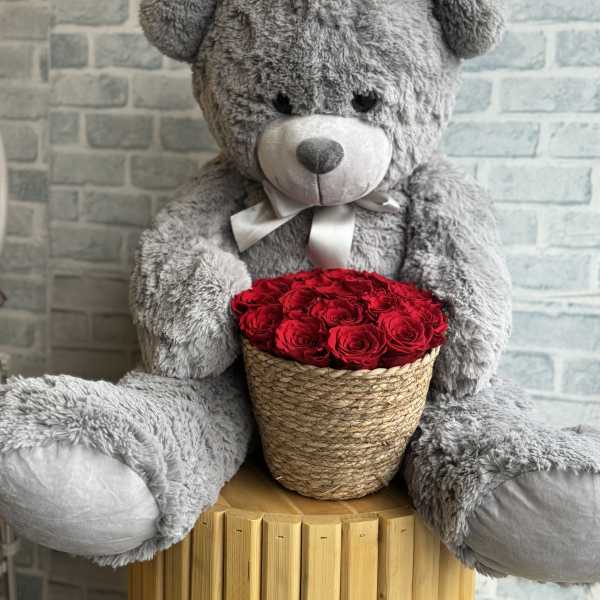 Preserved rose bear Large