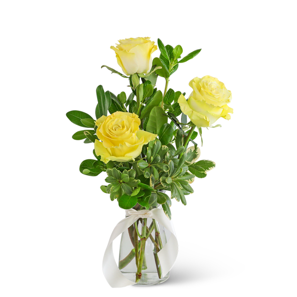 Three Yellow Roses
