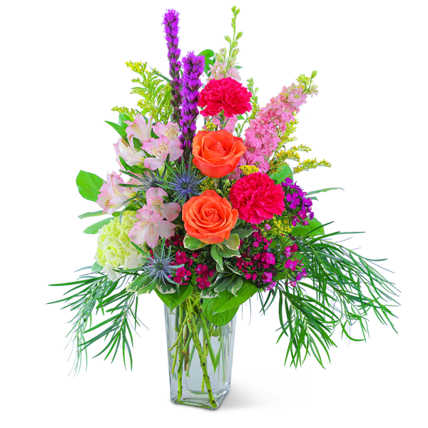 Take Me to St. Tropez