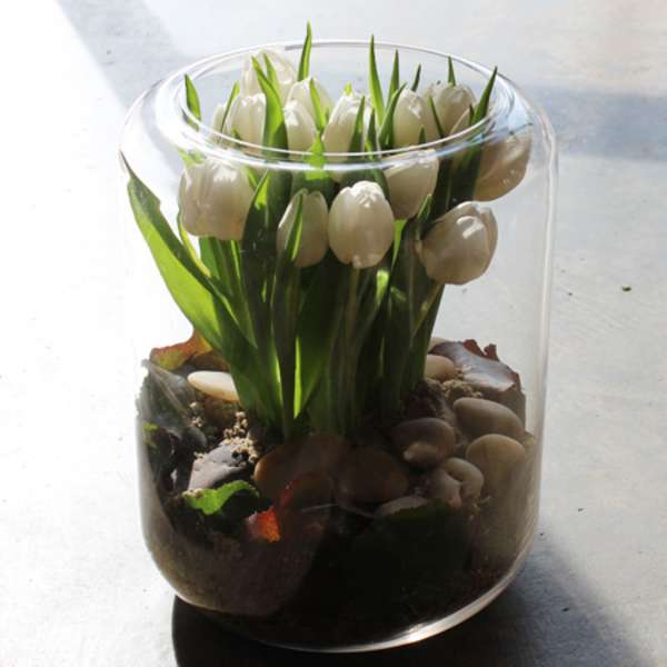 White tulips in a terrarium-style glass cylinder.