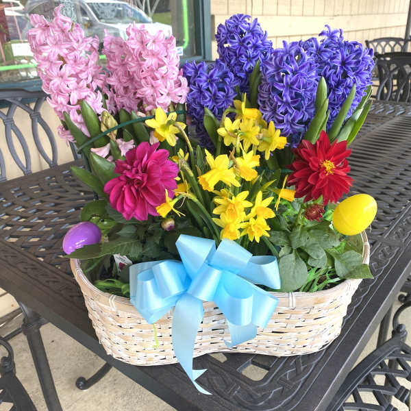 Medium Easter Plant Basket
