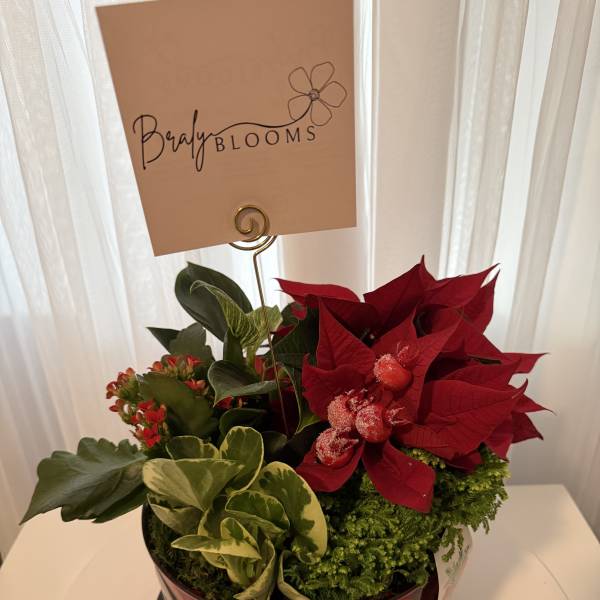 Yuletide Elegance Arrangement