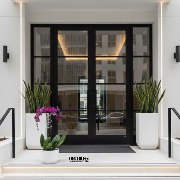 Purple Phalaenopsis Orchid – Sophisticated Birthday Gift