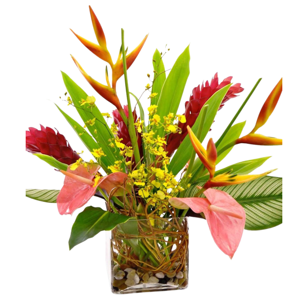 Tropical arrangement, Designer Choice