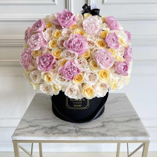 MFS CRÈME DE LA CRÈME