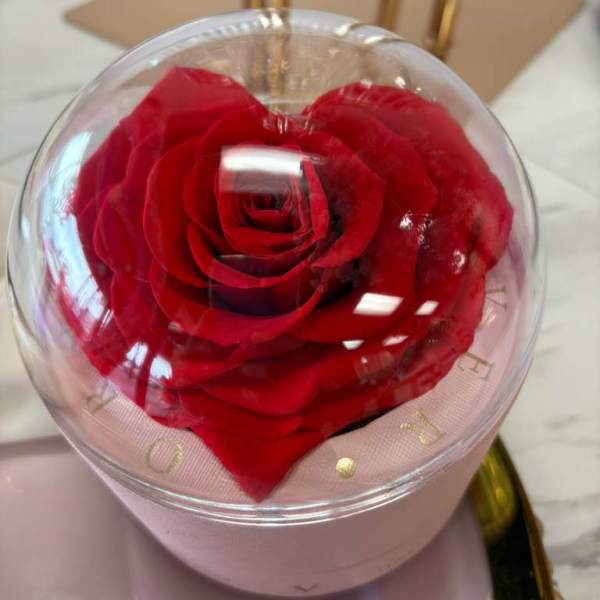 Valentine’s Day Eternal Rose – Real Ecuadorian Rose (Lasts Up to 3 Years)