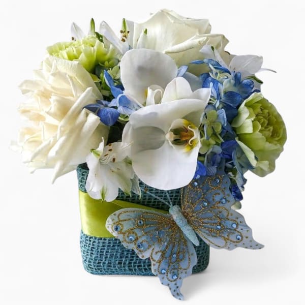 Blue Vanilla Cutie Beauty Designer's Choice