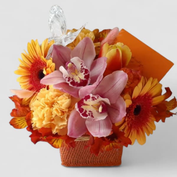 Orange Peach Beauty Designer's Choice