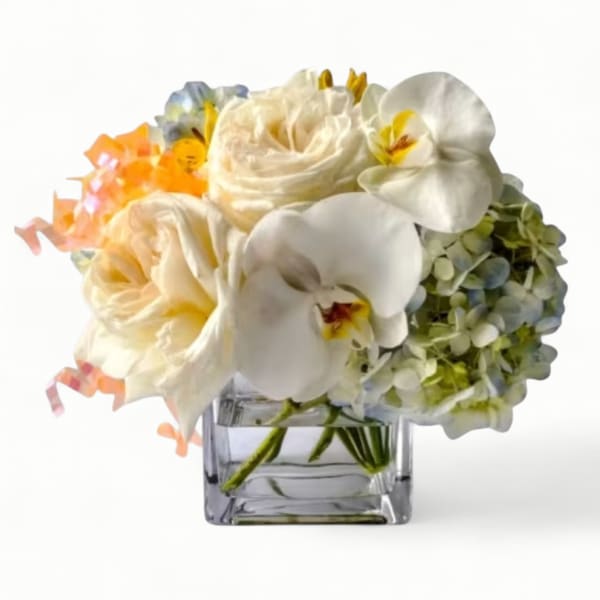 Roses Orchids And Everything Nice Designer's Choice