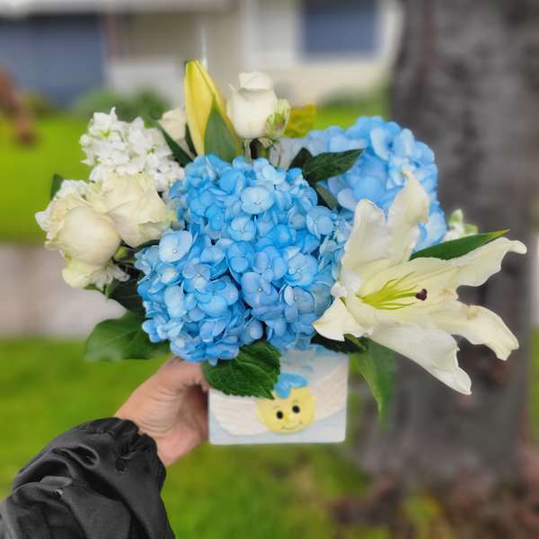 Welcome Home Baby Boy