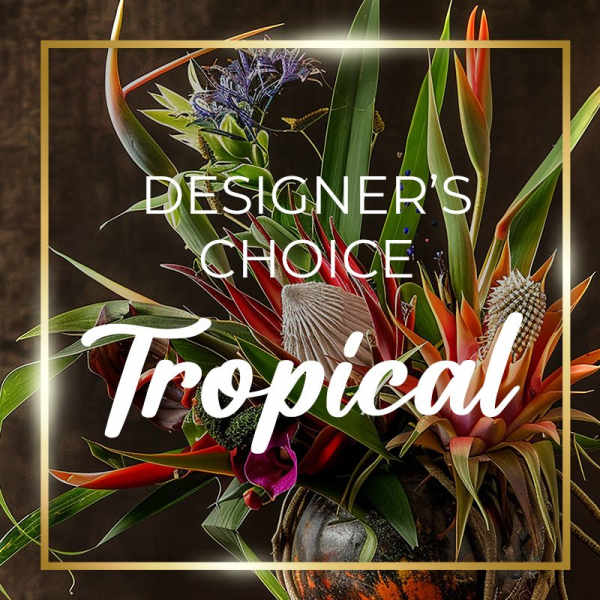 Tropical Designer's Choice