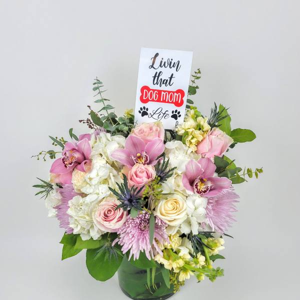 Living that dog mom life