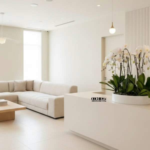 White Phalaenopsis Orchid – Refined Tabletop Display