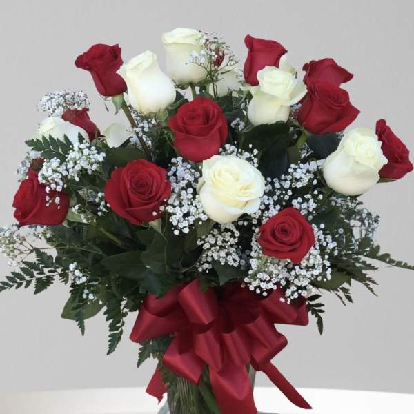 24 Red & White Roses