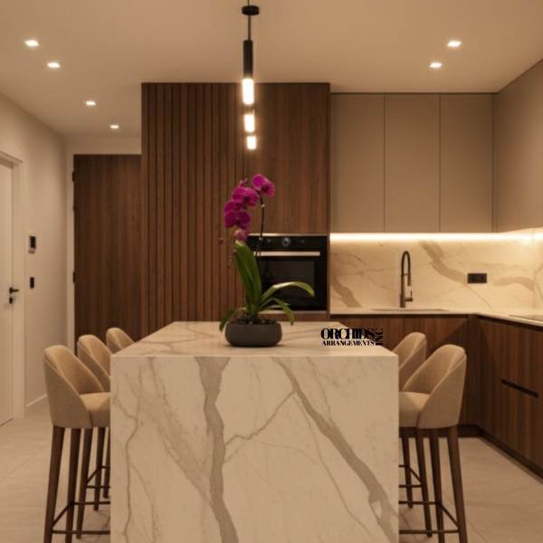 Purple Phalaenopsis Orchid – Signature Edition