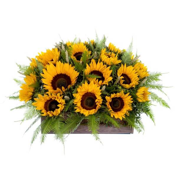 Pure Sunshine Arrangement