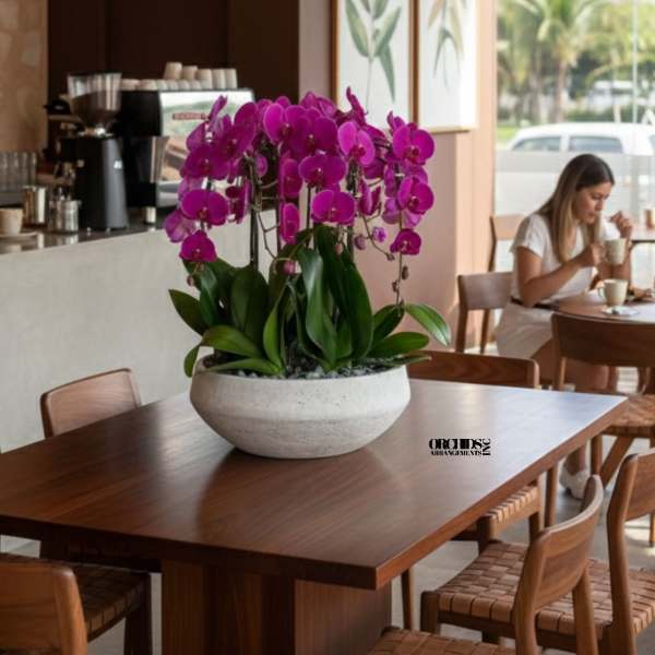 Purple Phalaenopsis Orchid – Refined Modern Design
