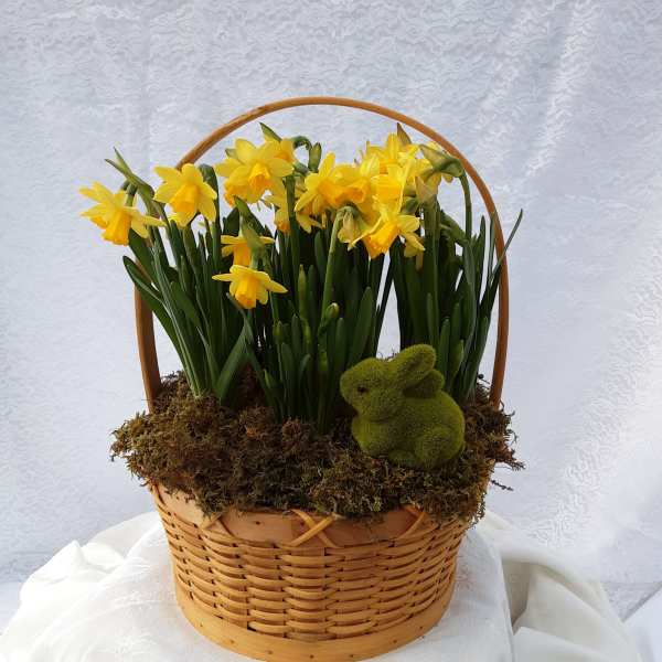 Spring Has Sprung Garden Basket