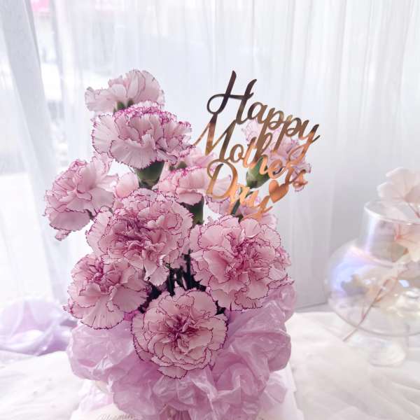 [FRESH FLOWER] Blushing Grace – Mother’s Day Carnation Box