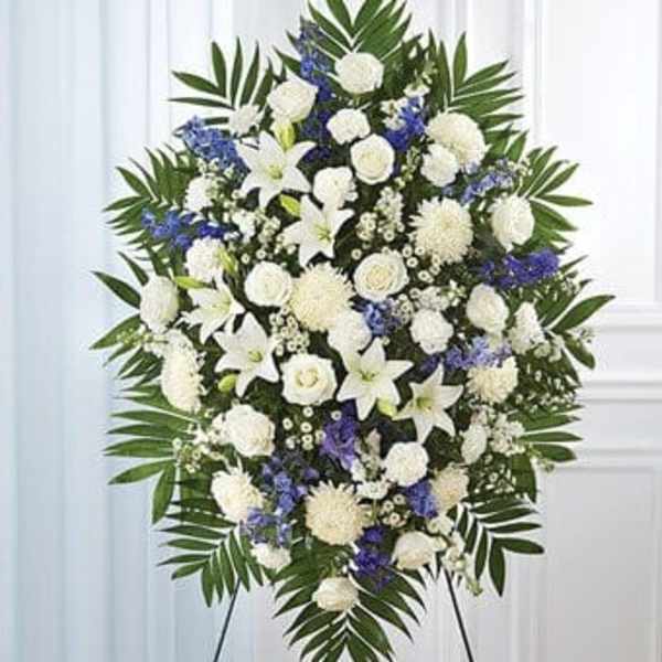 BLUE & WHITE SYMPATHY