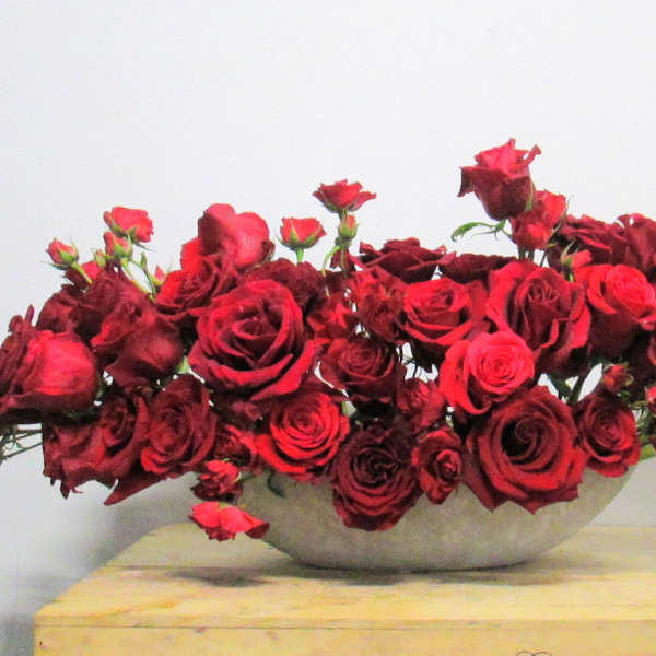 Nothing but Red Roses