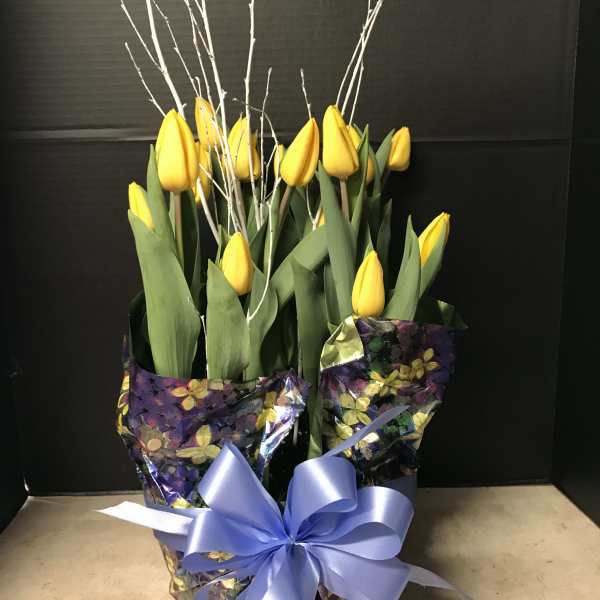 Potted Tulips For Spring