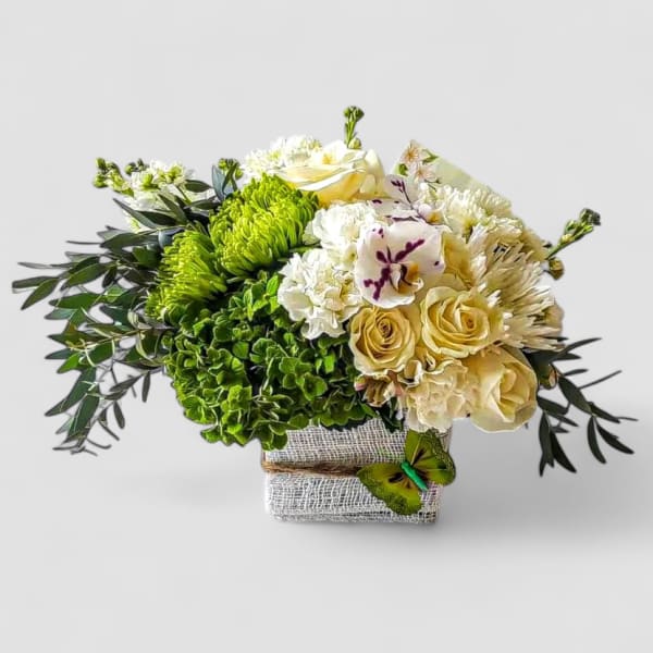 Citrus And Vanilla Blossoms Beauty Designer's Choice