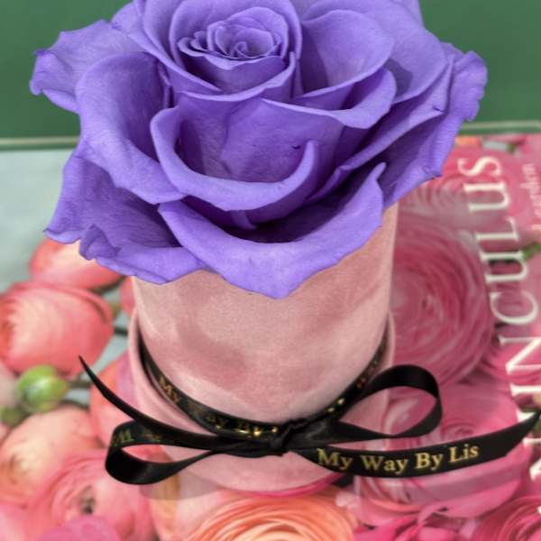 Love You more. (PRESERVED ROSE)