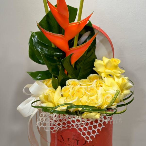 Tropical beauty surrounded by roses!