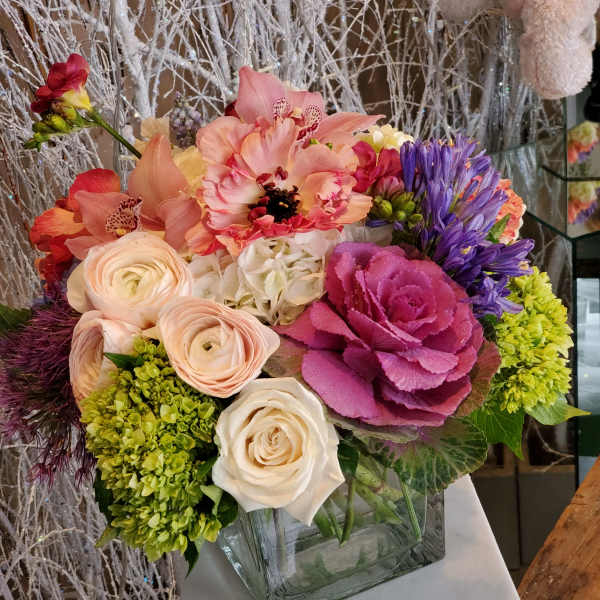 Designer's Choice Premium Luxe Mixed in a Large Cube