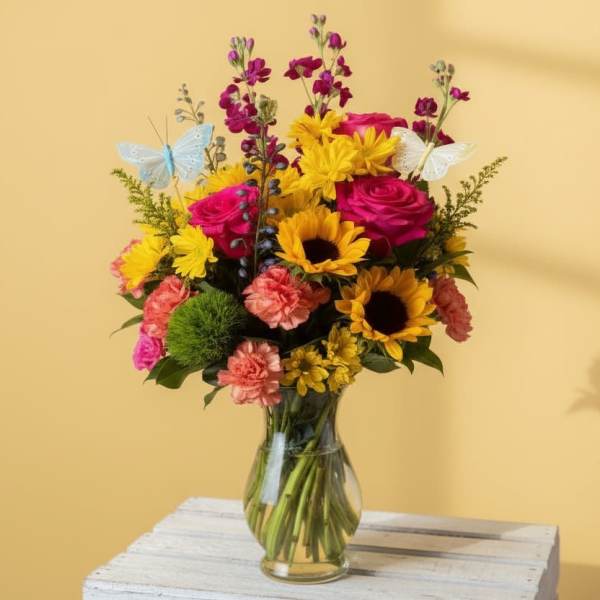 Birthdays & Butterflies