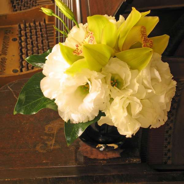 59- Orchid Desktop "Small is Beautiful"