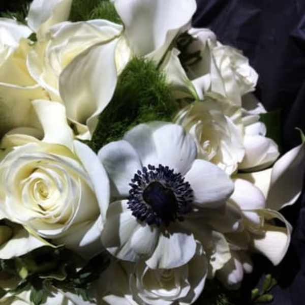 Suzanne Cummings Original 21