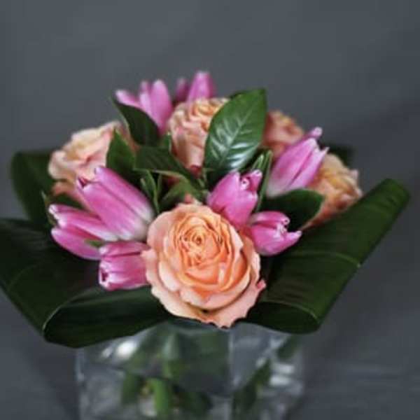 Suzanne Cummings Original 16