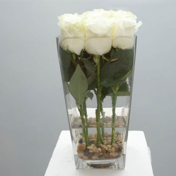 City Hall Spectacular