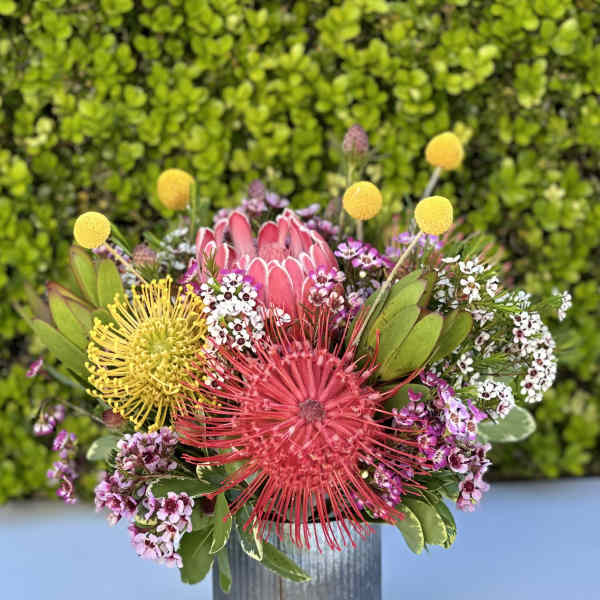 Seasonal Protea Garden