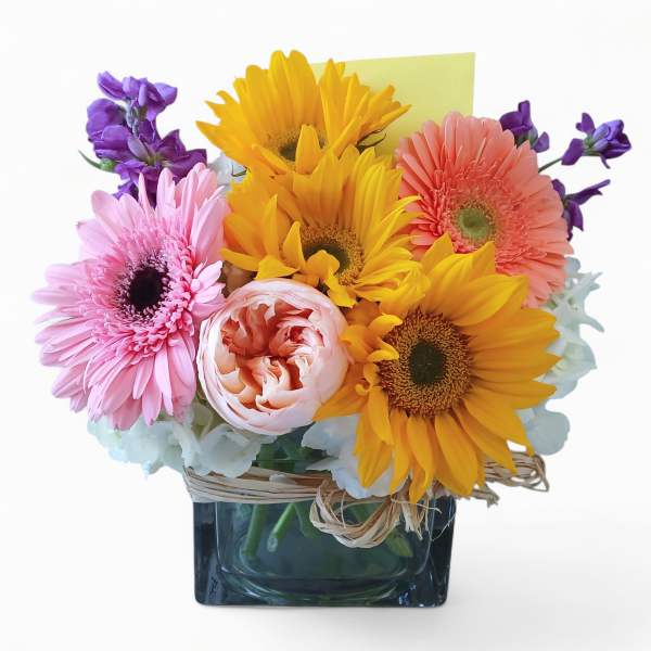 Best Wishes Vibrant Blossoms Designer's Choice