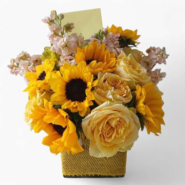 Citrus Peach Beauty Designer's Choice