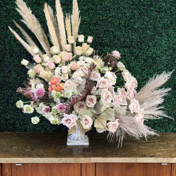 Piper - A True Beauty