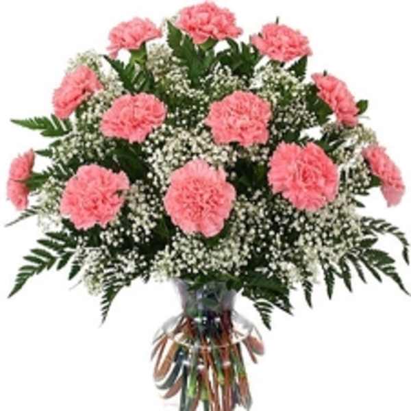 1 Dozen Carnations (please specify color preferences)