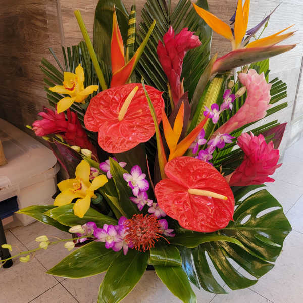 Tropical arrangement 1