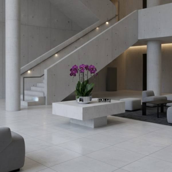 Purple Phalaenopsis Orchid – Artistic Display