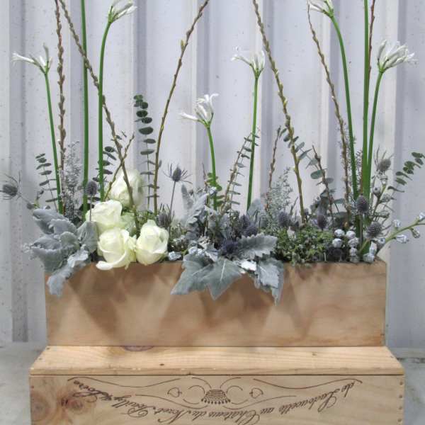 Designer's Choice: Winter Wonderland Screen